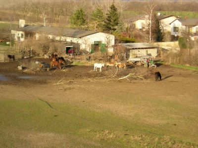 Der Reitstall